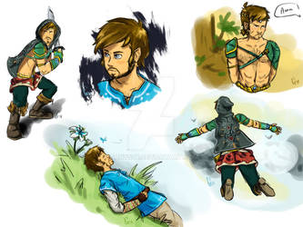 Killian Jnes as Link in Zelda: BotW