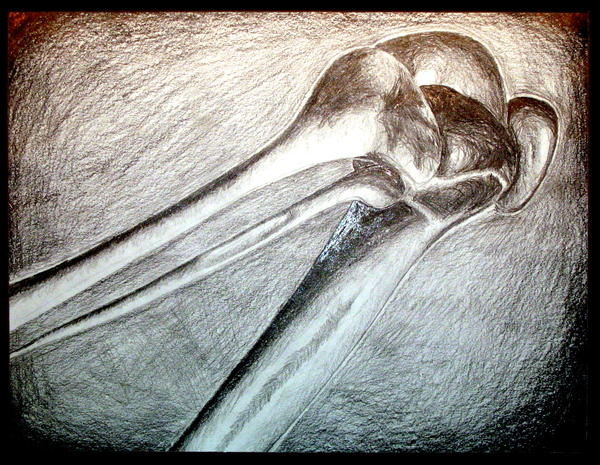 Deviantart Knees knee joint by oro-mouse on DeviantArt