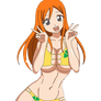 Nami transparent