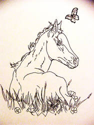 foal line art