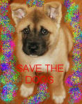 SAVE THE DOGS by mericanmussolini