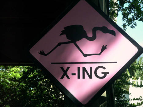 Flamingo X-ing