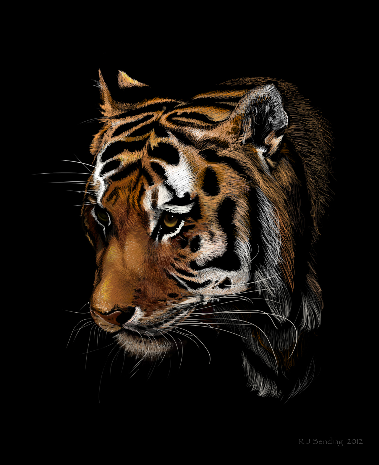 Tiger out of black