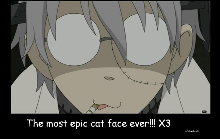 Epic Cat Face