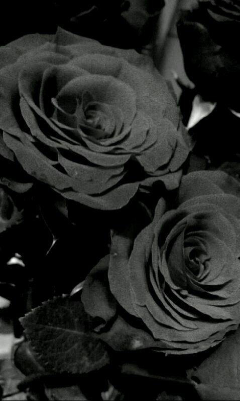Ten Black Roses by KJ-karro on DeviantArt