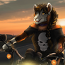 Ride on a motorcycle
