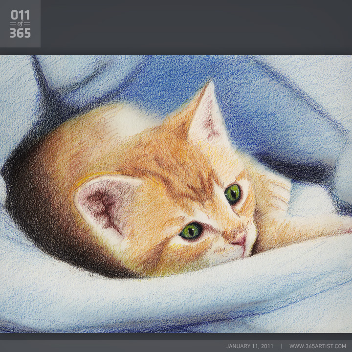 011: Colored Pencil Cat