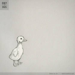 087: Lucky Ducky