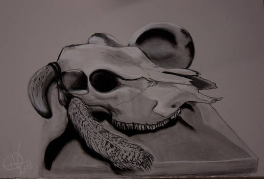 .cow skull.