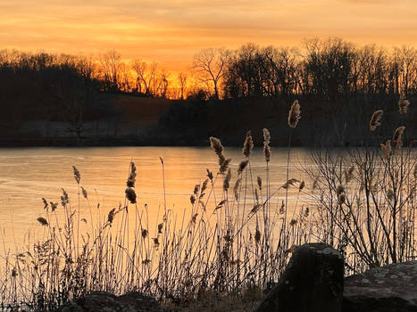 Rockefeller Sunset