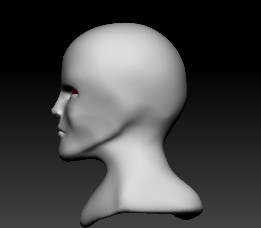Side View Head Model 3D Head Model - Side by YairJak on DeviantArt