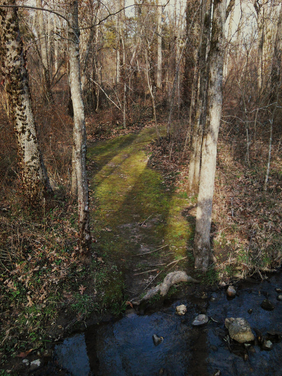 Mossy path