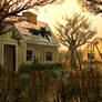 Abandoned Houses
