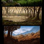 Landscapes