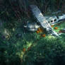 Crashed Plane