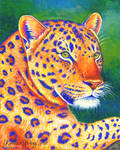 Queen of the Jungle - Leopard