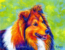 Colorful Shetland Sheepdog