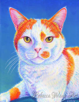 Colorful Cat Portrait - Hyler