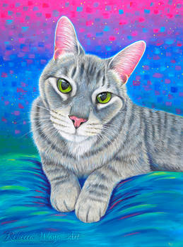 Talladega the Grey Tabby Cat