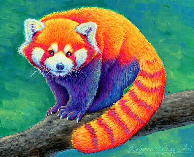 Red Panda Rainbow by rebeccawangart on DeviantArt
