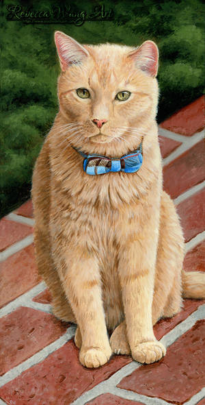 Oscar
