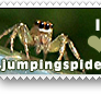 I Heart Jumping Spiders Stamp