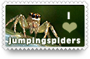 I Heart Jumping Spiders Stamp