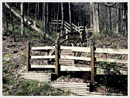 NTSP - Path 3