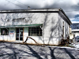 store front - taxidermy hdr