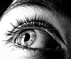 0224 eye