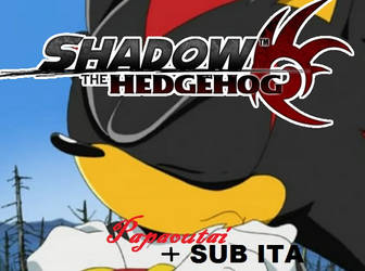 Cover Shadow The Hedgehog-Papaoutai