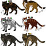 Cat point adoptables ALL SOLD