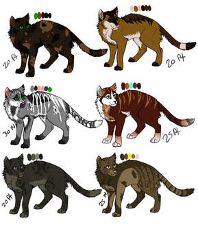 Cat point adoptables ALL SOLD