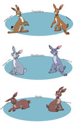 Watership Down part 2