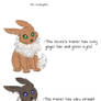 Eevee:  Like Trainer Like Mon