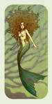 mermaid by mollygrue