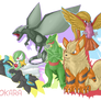 Pokemon Reborn Team [Commission] [May 2017]