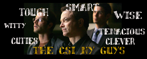 csi ny guys 2