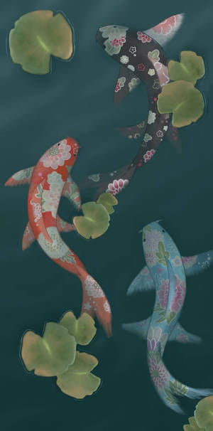 Koi