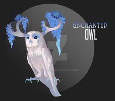 #025 Enchanted Owl [CLOSED]