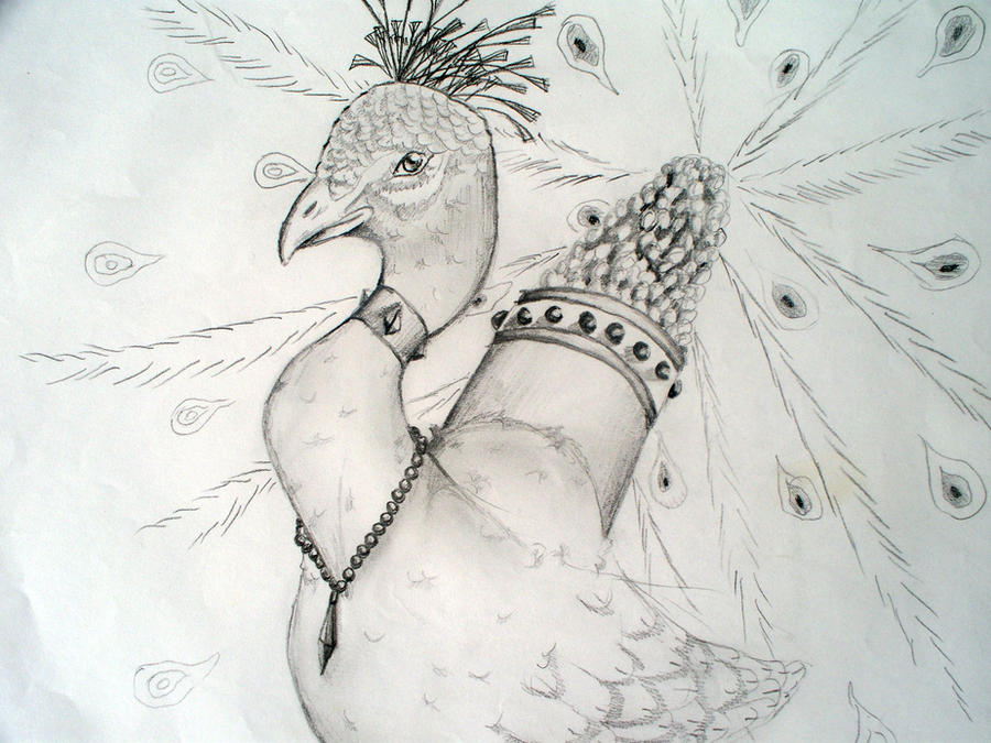 Pocock Design Draw PCok by bamtoon6 on DeviantArt