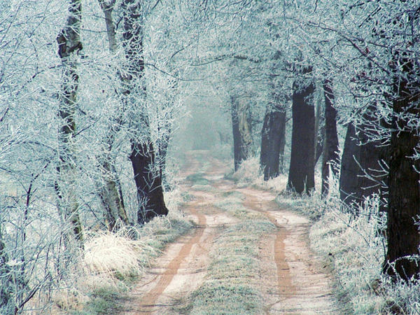 Winter