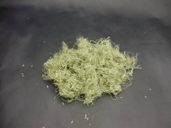 Hemp fibers (processed)