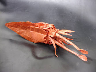 Squid (underside)