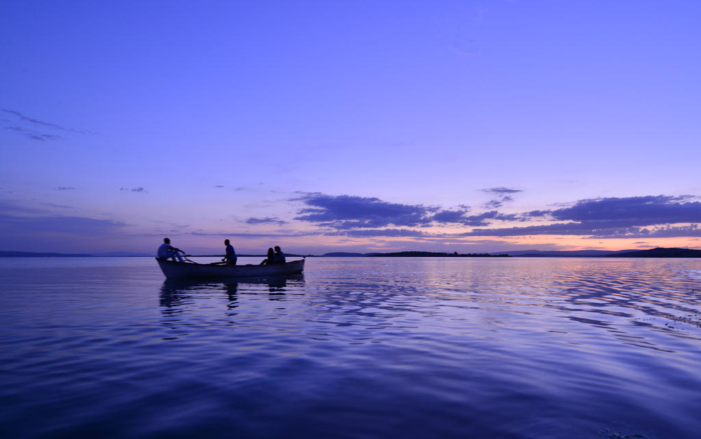 Boat Trip