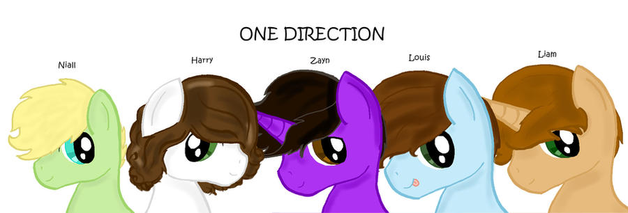 One Direction Ponyfied...