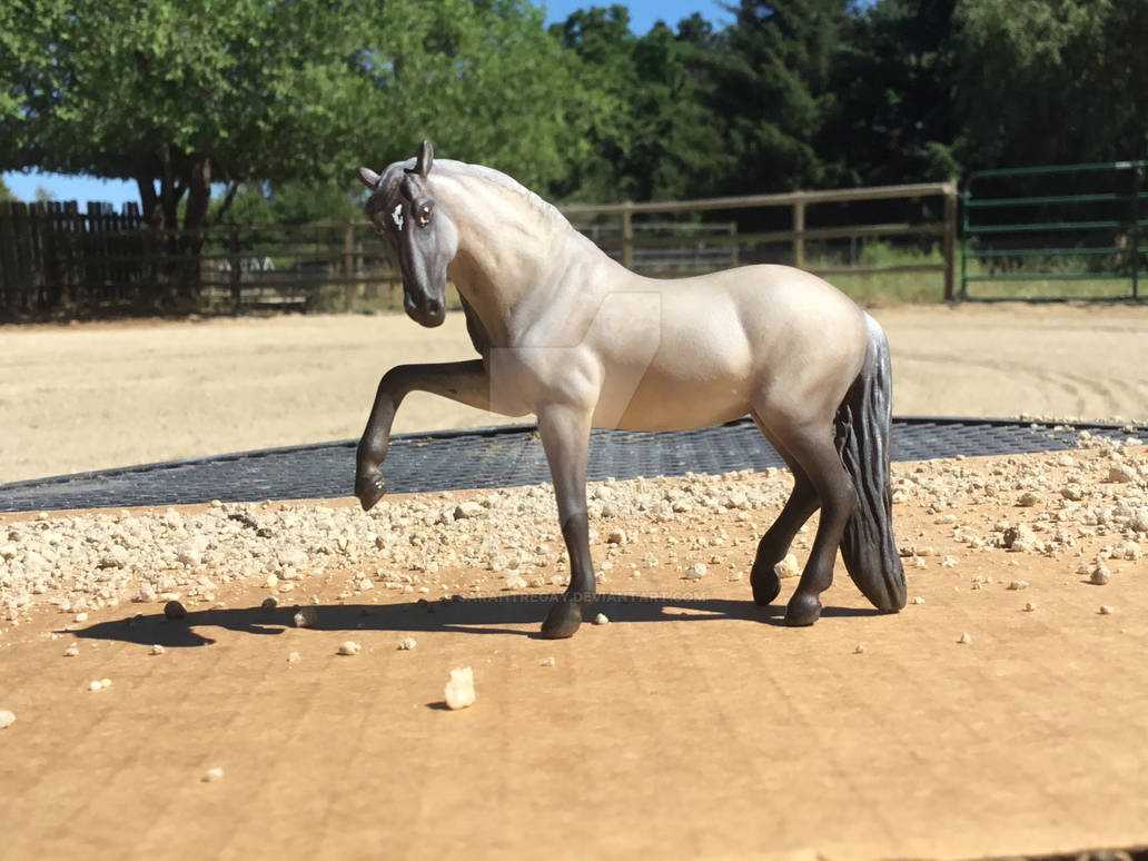 Breyer Grulla Malpferd – Handbemalte Kunststofffigur, 1:12 Maßstab, Für Sammler Und Pferdefans Ab 3 Jahren Breyer Grulla Malpferd – Handbemalte Kunststofffigur, 1:12 Maßstab, Für Sammler Und Pferdefans Ab 3 Jahren