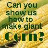 Giant Corn