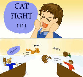 Cat Fight