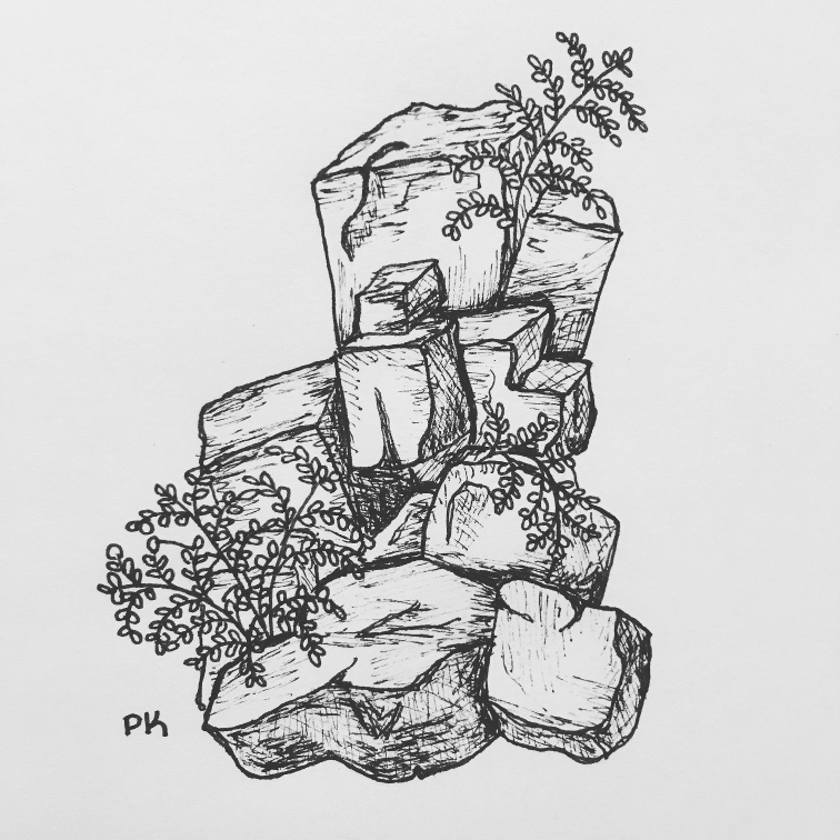 Rocks n' Flowers // sketchbook doodle